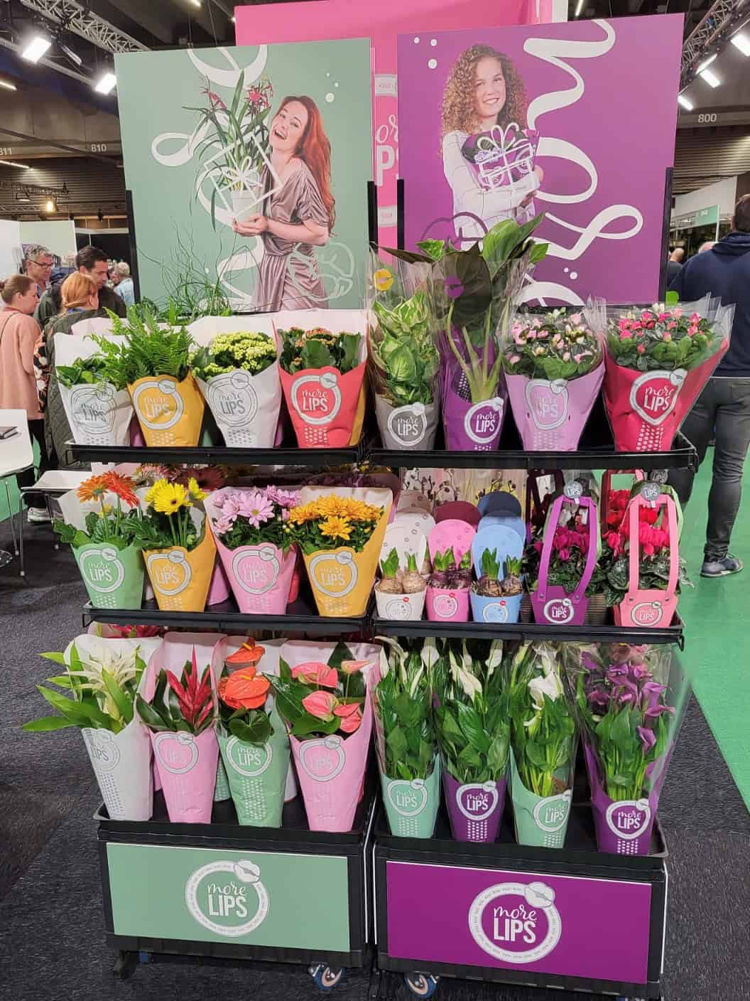 Kleurvolle bloemen en plantenwinkels, bloemstukken en cadeaus, kleurrijk bloemenarrangement, bloemen verkoopstand, bloemen display bij bloemenwinkel.
