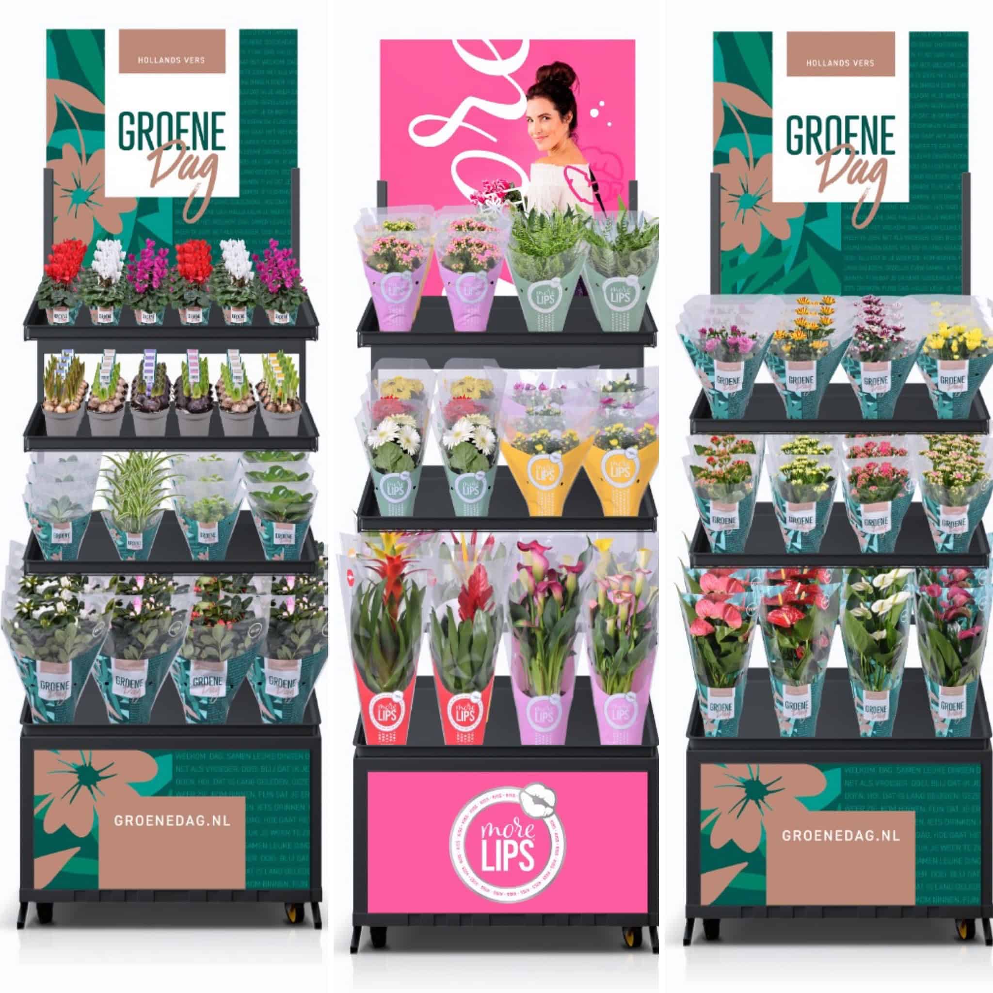 Kleurijke bloemen en planten op bloemenstandaard voor promotie en verkoop, inclusief kleurrijke orchideeën en snijbloemen, gepresenteerd voor Groene Dag campagne en promotiedoeleinden.