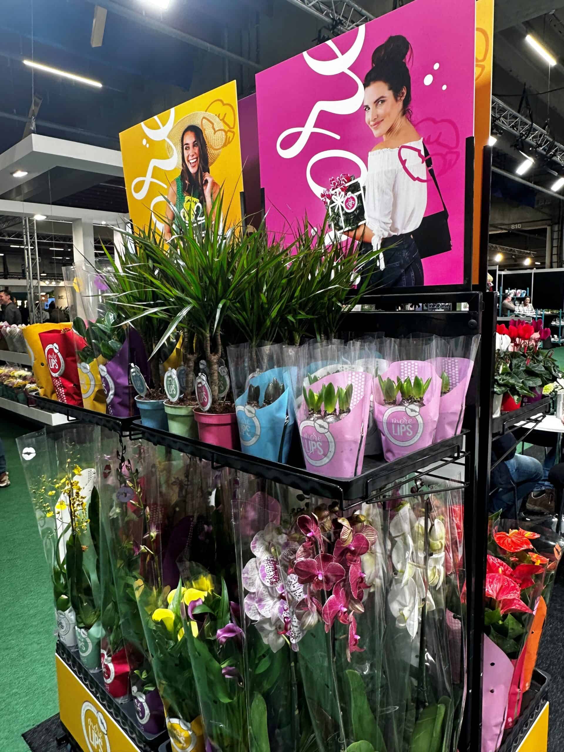 Vrolijk bloemenstand met orchideeën en kleurrijke posters op een beurs- of winkelstand, promotie voor bloemisten of tuincentra.
