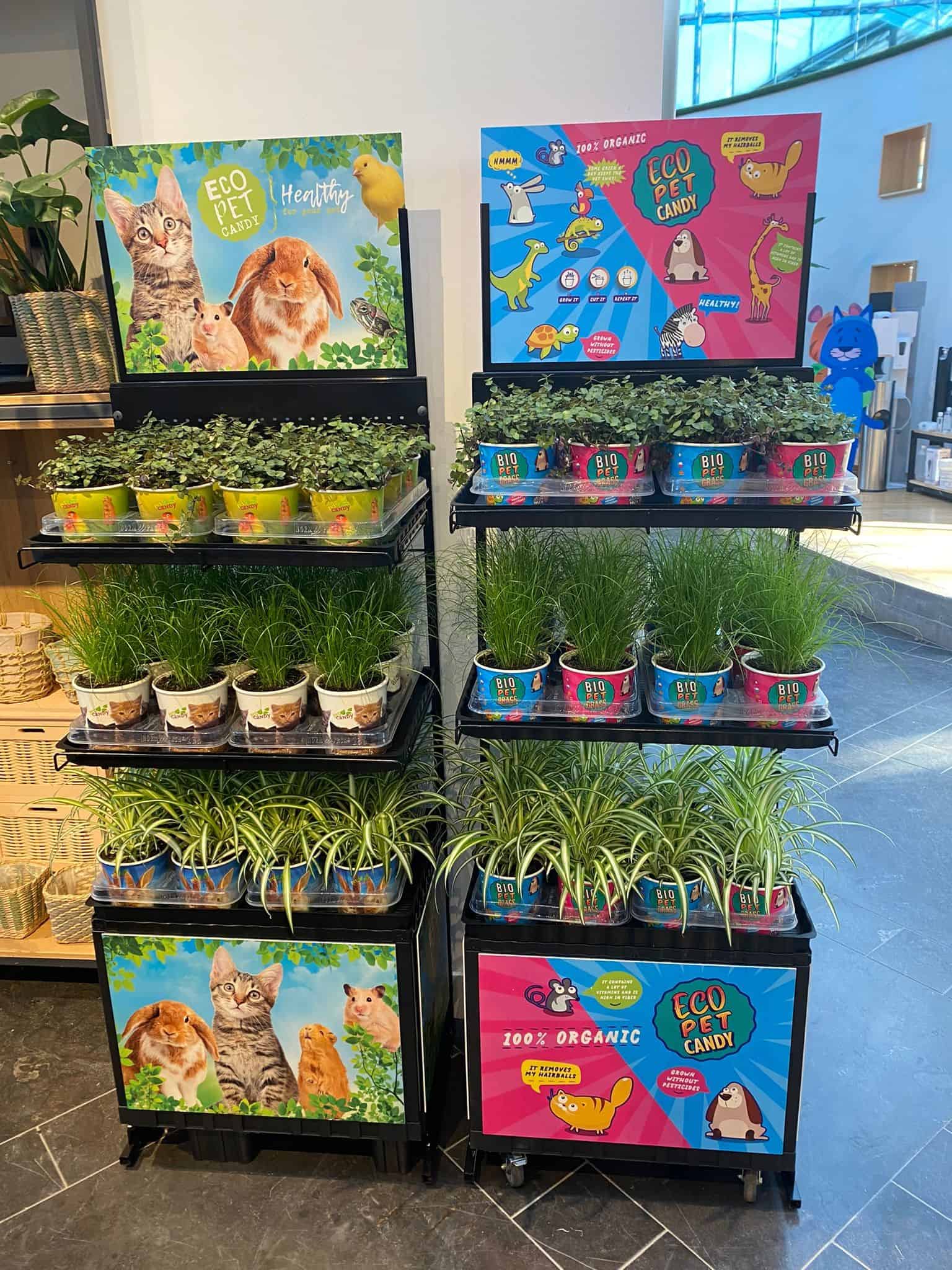 Bio planten en kruiden voor huisdieren, milieuvriendelijk, organisch, gezonde dieren voeding, healthy pet food, groene winkel displays, duurzame dierproducten, biologisch gekweekte planten voor dieren.